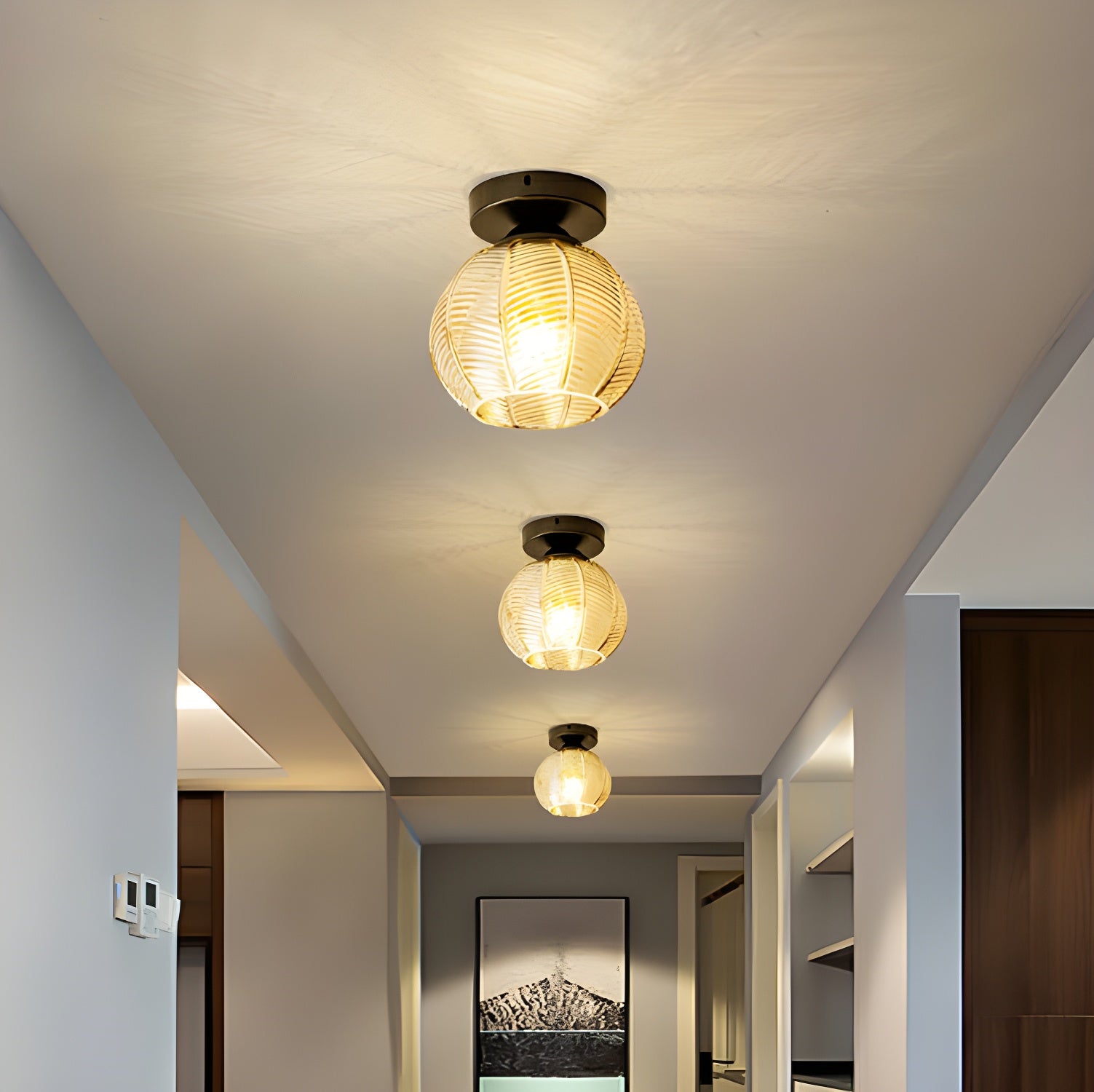 Modern Black Globe Flush Mount Ceiling Light with Glass Shade