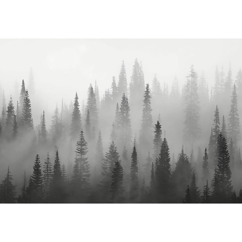 Enormous Misty Trees Wall Mural in Grey Non-Woven Wall Covering for Home Decor, Custom-Printed Clearhalo 'Wall Decor' 'Wall Mural' 1048155