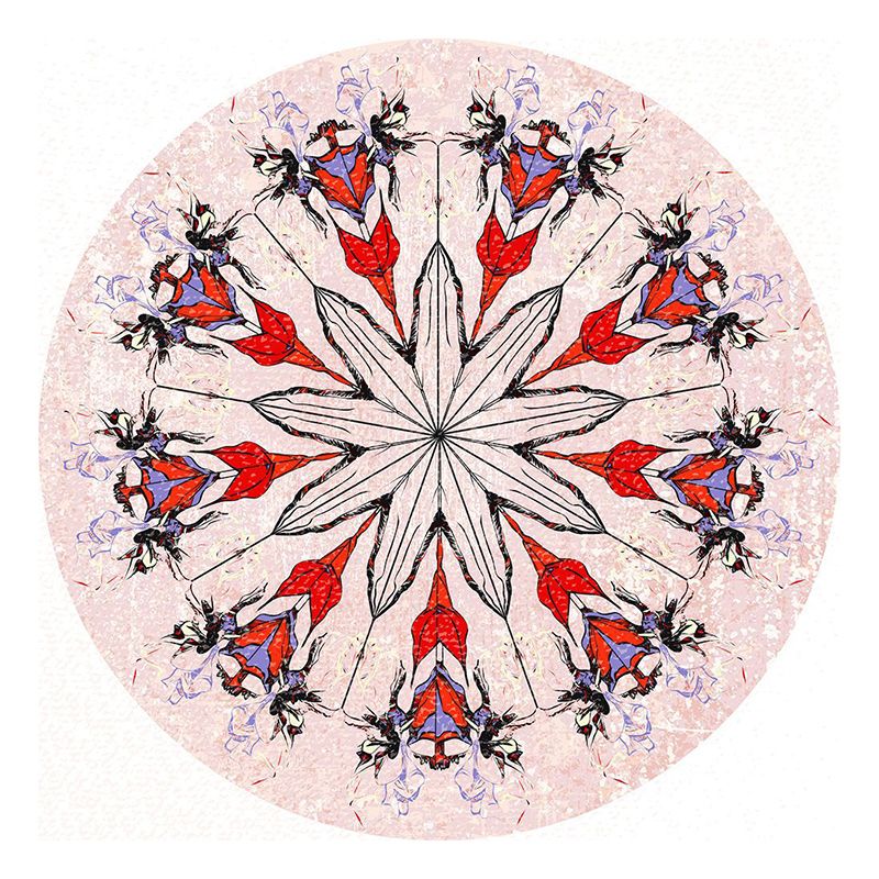 Black Graphic Rug Polyester Bohemian Rug Stain Resistant Rug for Home Decor