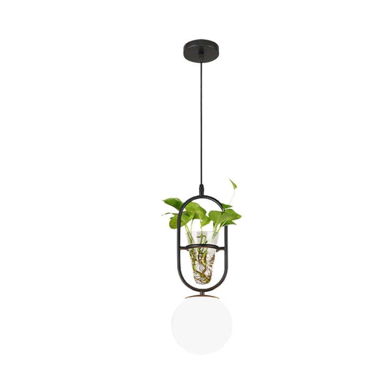 Factory Sphere Hanging Pendant 1 Head White Glass Ceiling Light in Black/Grey/Gold with Round/Oval Cage and Plant Cup Clearhalo 'Art Deco Pendants' 'Black' 'Cast Iron' 'Ceiling Lights' 'Ceramic' 'Crystal' 'Industrial Pendants' 'Industrial' 'Metal' 'Middle Century Pendants' 'Pendant Lights' 'Pendants' 'Rustic Pendants' 'Tiffany' Lighting' 1459832