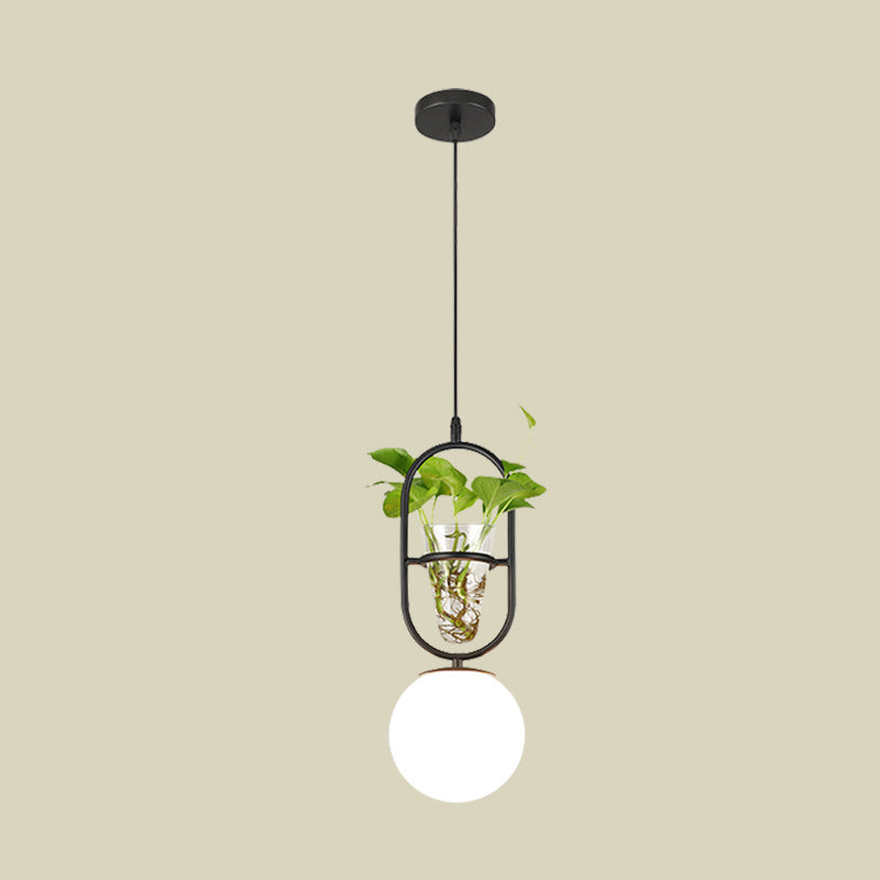 Factory Sphere Hanging Pendant 1 Head White Glass Ceiling Light in Black/Grey/Gold with Round/Oval Cage and Plant Cup Clearhalo 'Art Deco Pendants' 'Black' 'Cast Iron' 'Ceiling Lights' 'Ceramic' 'Crystal' 'Industrial Pendants' 'Industrial' 'Metal' 'Middle Century Pendants' 'Pendant Lights' 'Pendants' 'Rustic Pendants' 'Tiffany' Lighting' 1459833