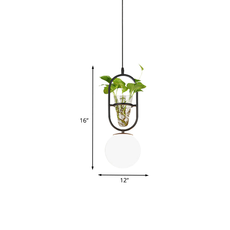 Factory Sphere Hanging Pendant 1 Head White Glass Ceiling Light in Black/Grey/Gold with Round/Oval Cage and Plant Cup Clearhalo 'Art Deco Pendants' 'Black' 'Cast Iron' 'Ceiling Lights' 'Ceramic' 'Crystal' 'Industrial Pendants' 'Industrial' 'Metal' 'Middle Century Pendants' 'Pendant Lights' 'Pendants' 'Rustic Pendants' 'Tiffany' Lighting' 1459834
