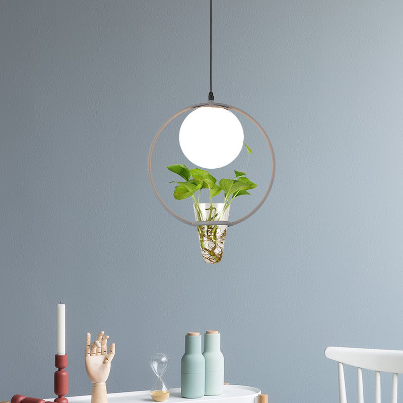 Factory Sphere Hanging Pendant 1 Head White Glass Ceiling Light in Black/Grey/Gold with Round/Oval Cage and Plant Cup Grey Clearhalo 'Art Deco Pendants' 'Black' 'Cast Iron' 'Ceiling Lights' 'Ceramic' 'Crystal' 'Industrial Pendants' 'Industrial' 'Metal' 'Middle Century Pendants' 'Pendant Lights' 'Pendants' 'Rustic Pendants' 'Tiffany' Lighting' 1459835