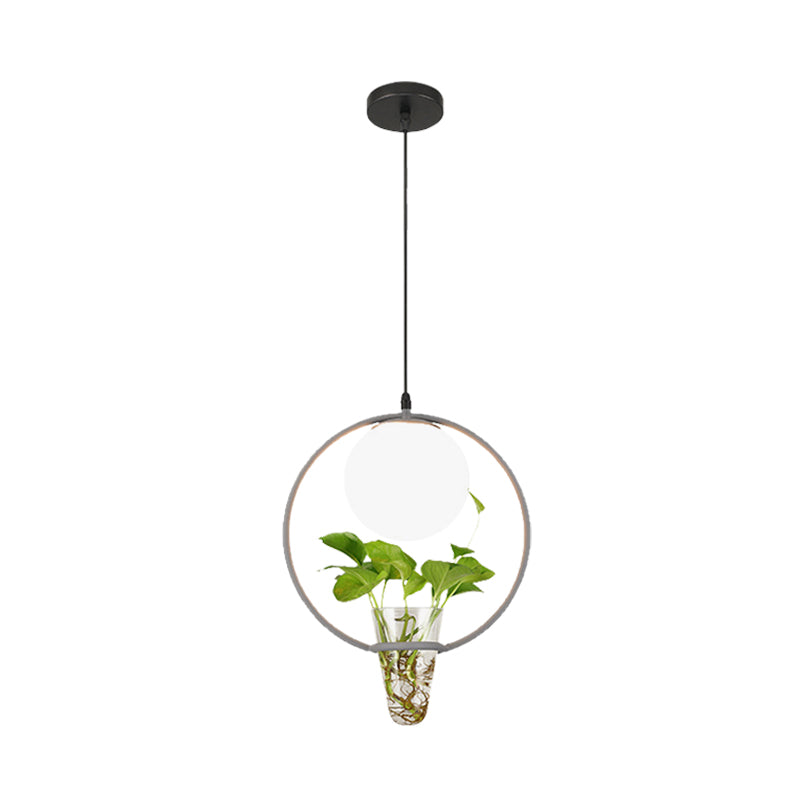 Factory Sphere Hanging Pendant 1 Head White Glass Ceiling Light in Black/Grey/Gold with Round/Oval Cage and Plant Cup Clearhalo 'Art Deco Pendants' 'Black' 'Cast Iron' 'Ceiling Lights' 'Ceramic' 'Crystal' 'Industrial Pendants' 'Industrial' 'Metal' 'Middle Century Pendants' 'Pendant Lights' 'Pendants' 'Rustic Pendants' 'Tiffany' Lighting' 1459837