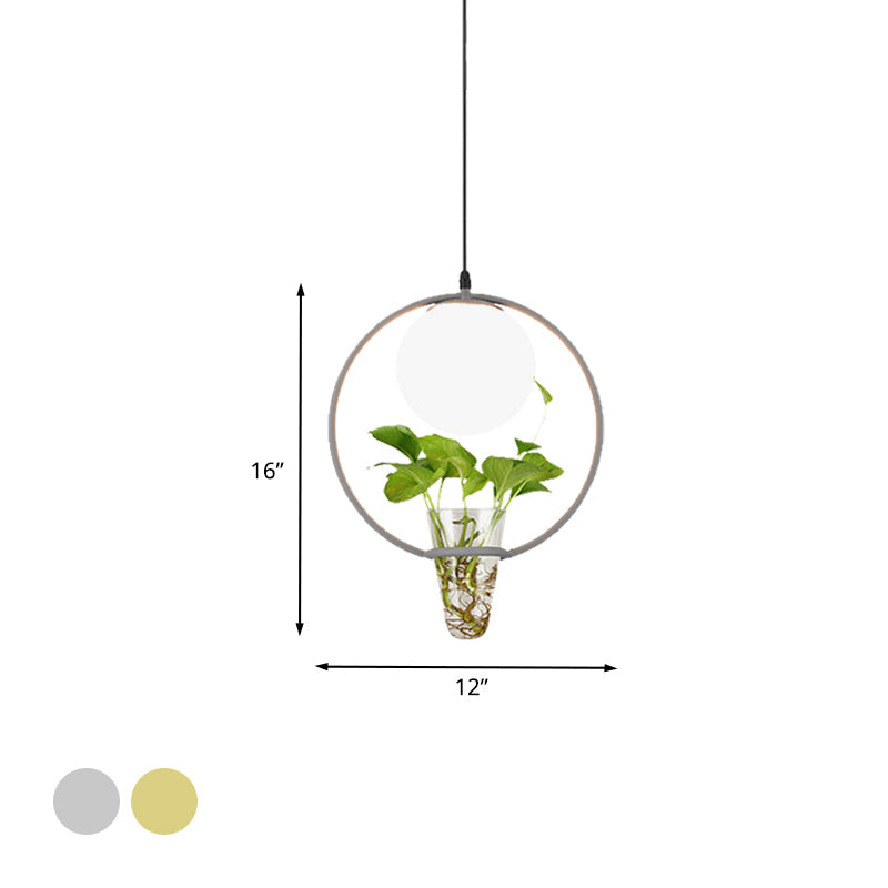 Factory Sphere Hanging Pendant 1 Head White Glass Ceiling Light in Black/Grey/Gold with Round/Oval Cage and Plant Cup Clearhalo 'Art Deco Pendants' 'Black' 'Cast Iron' 'Ceiling Lights' 'Ceramic' 'Crystal' 'Industrial Pendants' 'Industrial' 'Metal' 'Middle Century Pendants' 'Pendant Lights' 'Pendants' 'Rustic Pendants' 'Tiffany' Lighting' 1459838