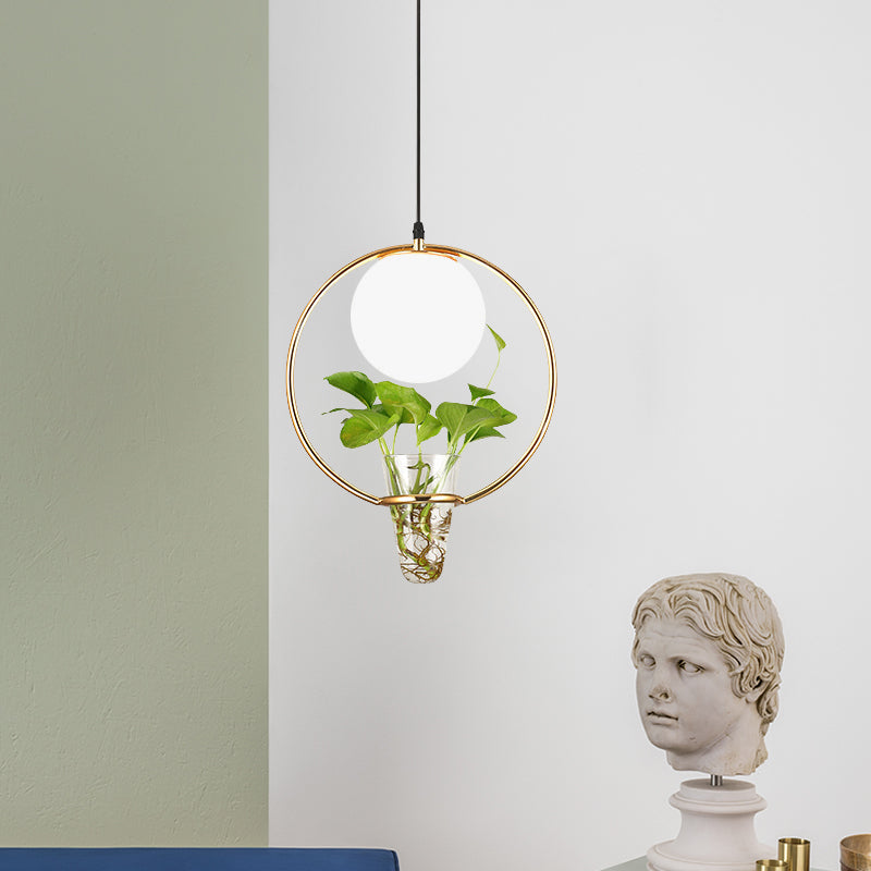 Factory Sphere Hanging Pendant 1 Head White Glass Ceiling Light in Black/Grey/Gold with Round/Oval Cage and Plant Cup Gold Clearhalo 'Art Deco Pendants' 'Black' 'Cast Iron' 'Ceiling Lights' 'Ceramic' 'Crystal' 'Industrial Pendants' 'Industrial' 'Metal' 'Middle Century Pendants' 'Pendant Lights' 'Pendants' 'Rustic Pendants' 'Tiffany' Lighting' 1459839