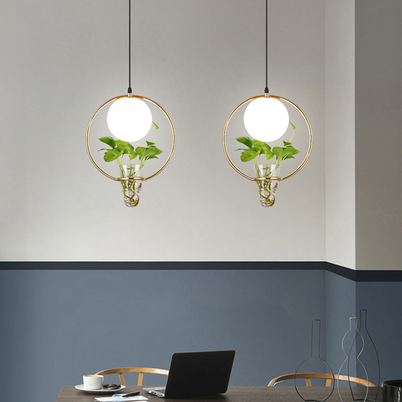 Factory Sphere Hanging Pendant 1 Head White Glass Ceiling Light in Black/Grey/Gold with Round/Oval Cage and Plant Cup Clearhalo 'Art Deco Pendants' 'Black' 'Cast Iron' 'Ceiling Lights' 'Ceramic' 'Crystal' 'Industrial Pendants' 'Industrial' 'Metal' 'Middle Century Pendants' 'Pendant Lights' 'Pendants' 'Rustic Pendants' 'Tiffany' Lighting' 1459840