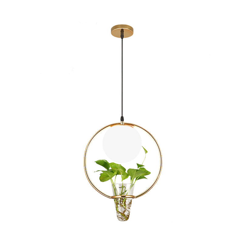 Factory Sphere Hanging Pendant 1 Head White Glass Ceiling Light in Black/Grey/Gold with Round/Oval Cage and Plant Cup Clearhalo 'Art Deco Pendants' 'Black' 'Cast Iron' 'Ceiling Lights' 'Ceramic' 'Crystal' 'Industrial Pendants' 'Industrial' 'Metal' 'Middle Century Pendants' 'Pendant Lights' 'Pendants' 'Rustic Pendants' 'Tiffany' Lighting' 1459841