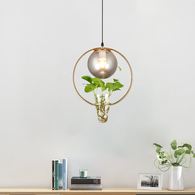 Ball Smoke Gray Glass Ceiling Light Warehouse 1 Light Restaurant Pendant in Black/Grey/Gold with Iron Ring and Plant Cup Gold Clearhalo 'Art Deco Pendants' 'Black' 'Cast Iron' 'Ceiling Lights' 'Ceramic' 'Crystal' 'Industrial Pendants' 'Industrial' 'Metal' 'Middle Century Pendants' 'Pendant Lights' 'Pendants' 'Rustic Pendants' 'Tiffany' Lighting' 1459850