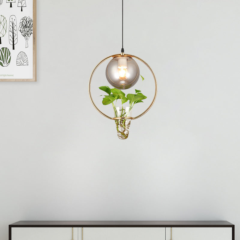 Ball Smoke Gray Glass Ceiling Light Warehouse 1 Light Restaurant Pendant in Black/Grey/Gold with Iron Ring and Plant Cup Clearhalo 'Art Deco Pendants' 'Black' 'Cast Iron' 'Ceiling Lights' 'Ceramic' 'Crystal' 'Industrial Pendants' 'Industrial' 'Metal' 'Middle Century Pendants' 'Pendant Lights' 'Pendants' 'Rustic Pendants' 'Tiffany' Lighting' 1459851