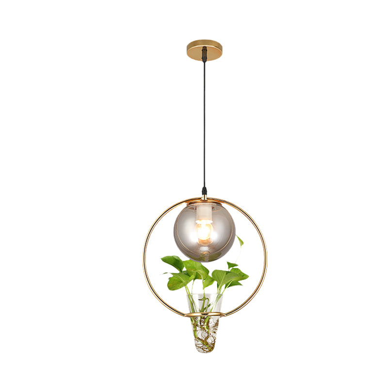 Ball Smoke Gray Glass Ceiling Light Warehouse 1 Light Restaurant Pendant in Black/Grey/Gold with Iron Ring and Plant Cup Clearhalo 'Art Deco Pendants' 'Black' 'Cast Iron' 'Ceiling Lights' 'Ceramic' 'Crystal' 'Industrial Pendants' 'Industrial' 'Metal' 'Middle Century Pendants' 'Pendant Lights' 'Pendants' 'Rustic Pendants' 'Tiffany' Lighting' 1459852
