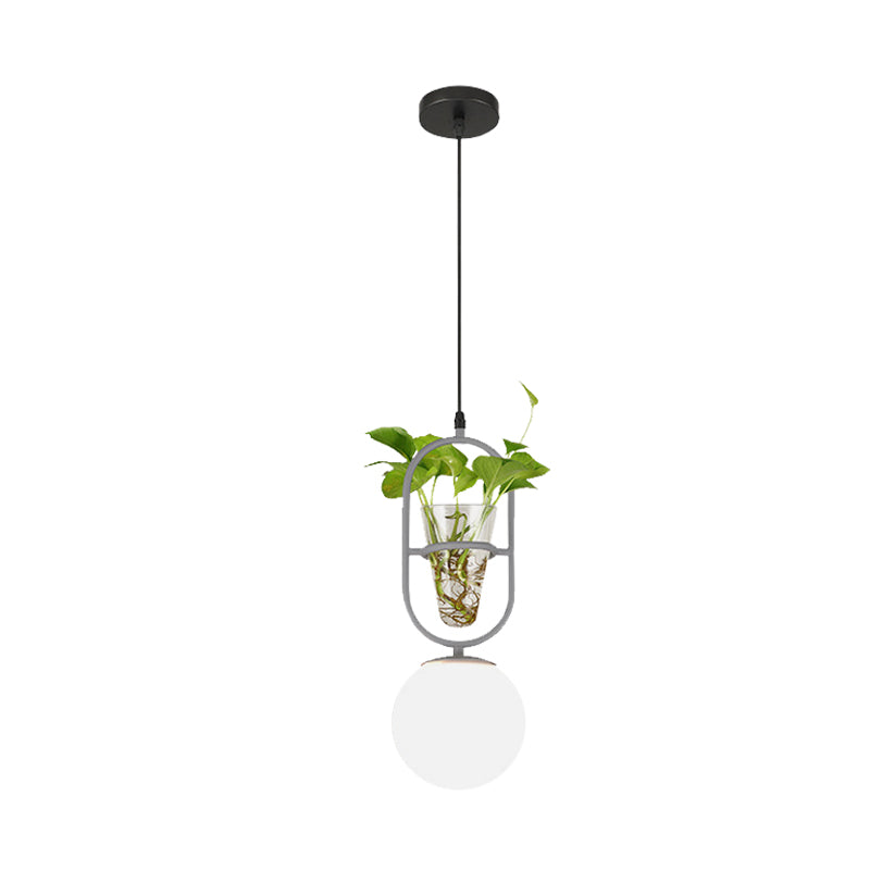 Elliptical Iron Pendant Lamp Loft 1 Light Bedroom Hanging Light in Black/Grey/Gold with Sphere Cream Glass Shade and Plant Cup Clearhalo 'Art Deco Pendants' 'Black' 'Cast Iron' 'Ceiling Lights' 'Ceramic' 'Crystal' 'Industrial Pendants' 'Industrial' 'Metal' 'Middle Century Pendants' 'Pendant Lights' 'Pendants' 'Rustic Pendants' 'Tiffany' Lighting' 1459860