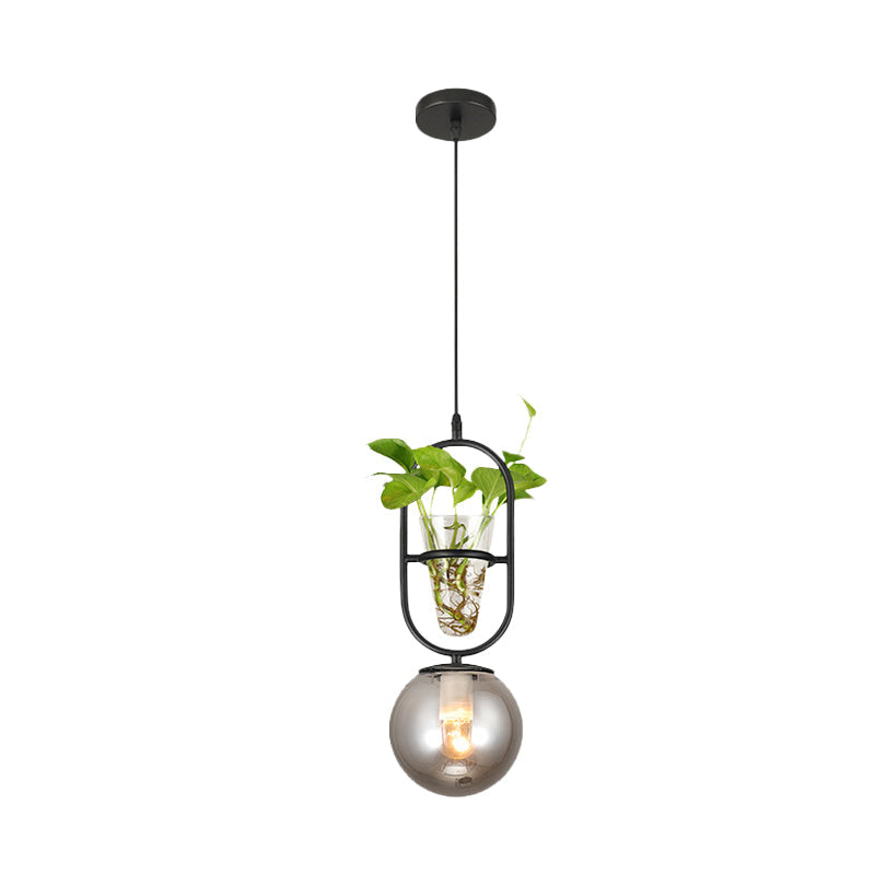 1-Head Hanging Light Loft Spherical Opal/Smoke Gray Glass Ceiling Lamp in Black/Grey/Gold with Oblong Frame and Plant Cup Clearhalo 'Art Deco Pendants' 'Black' 'Cast Iron' 'Ceiling Lights' 'Ceramic' 'Crystal' 'Industrial Pendants' 'Industrial' 'Metal' 'Middle Century Pendants' 'Pendant Lights' 'Pendants' 'Rustic Pendants' 'Tiffany' Lighting' 1459866