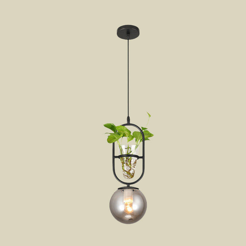 1-Head Hanging Light Loft Spherical Opal/Smoke Gray Glass Ceiling Lamp in Black/Grey/Gold with Oblong Frame and Plant Cup Clearhalo 'Art Deco Pendants' 'Black' 'Cast Iron' 'Ceiling Lights' 'Ceramic' 'Crystal' 'Industrial Pendants' 'Industrial' 'Metal' 'Middle Century Pendants' 'Pendant Lights' 'Pendants' 'Rustic Pendants' 'Tiffany' Lighting' 1459867