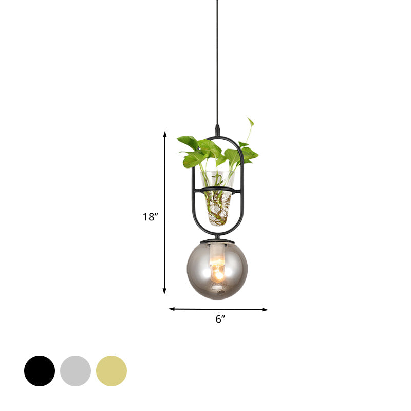 1-Head Hanging Light Loft Spherical Opal/Smoke Gray Glass Ceiling Lamp in Black/Grey/Gold with Oblong Frame and Plant Cup Clearhalo 'Art Deco Pendants' 'Black' 'Cast Iron' 'Ceiling Lights' 'Ceramic' 'Crystal' 'Industrial Pendants' 'Industrial' 'Metal' 'Middle Century Pendants' 'Pendant Lights' 'Pendants' 'Rustic Pendants' 'Tiffany' Lighting' 1459868
