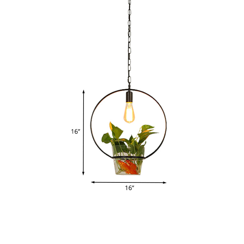Black 1-Head Down Lighting Retro Iron Square/Round/Gourd Ceiling Pendant Light with Potted Plant for Restaurant Clearhalo 'Art Deco Pendants' 'Black' 'Cast Iron' 'Ceiling Lights' 'Ceramic' 'Crystal' 'Industrial Pendants' 'Industrial' 'Metal' 'Middle Century Pendants' 'Pendant Lights' 'Pendants' 'Rustic Pendants' 'Tiffany' Lighting' 1459909