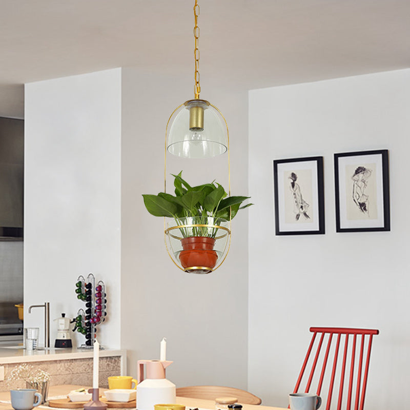 White/Gold 1 Light Drop Lamp Farmhouse Clear Glass Bowl Shaped Pendant Lighting Fixture with Oval Cage Gold Clearhalo 'Art Deco Pendants' 'Cast Iron' 'Ceiling Lights' 'Ceramic' 'Crystal' 'Industrial Pendants' 'Industrial' 'Metal' 'Middle Century Pendants' 'Pendant Lights' 'Pendants' 'Tiffany' Lighting' 1460713