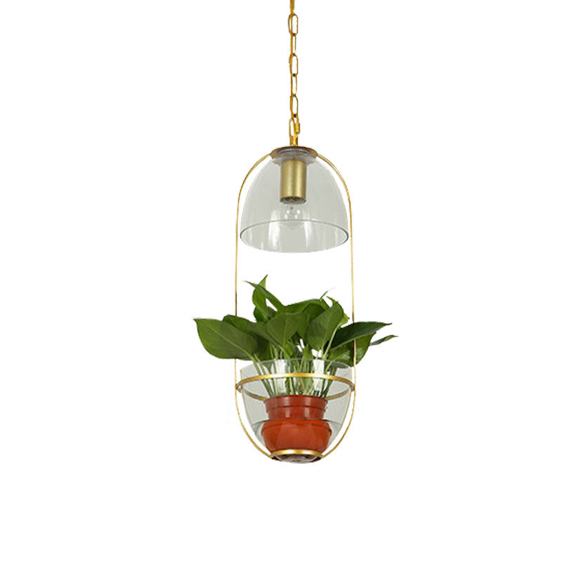 White/Gold 1 Light Drop Lamp Farmhouse Clear Glass Bowl Shaped Pendant Lighting Fixture with Oval Cage Clearhalo 'Art Deco Pendants' 'Cast Iron' 'Ceiling Lights' 'Ceramic' 'Crystal' 'Industrial Pendants' 'Industrial' 'Metal' 'Middle Century Pendants' 'Pendant Lights' 'Pendants' 'Tiffany' Lighting' 1460715
