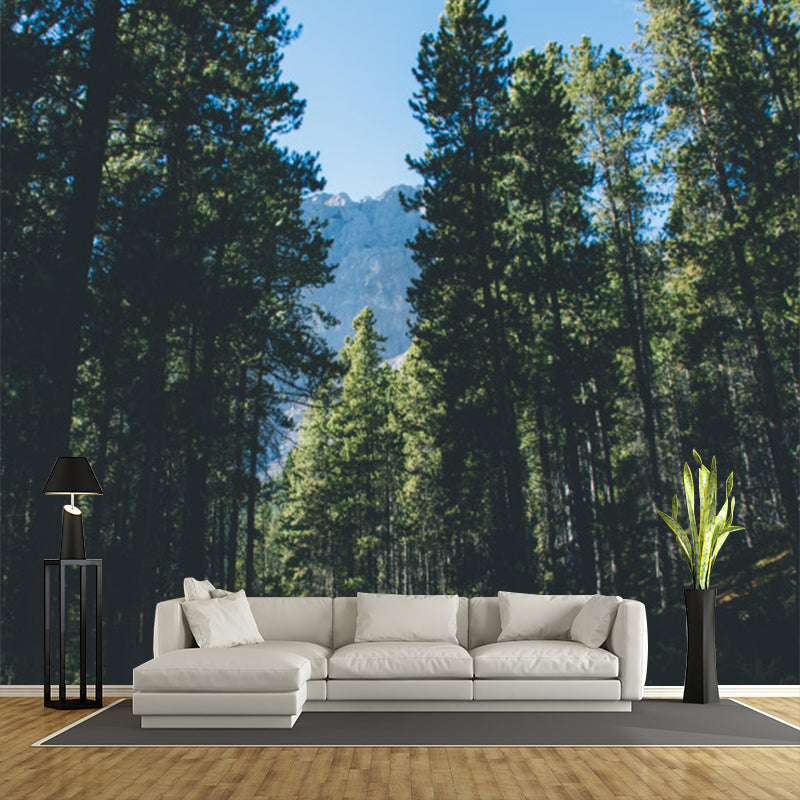 Green Roadside Pine Trees Mural Wallpaper Stain Resistant Wall Covering for Bedroom Clearhalo 'Wall Decor' 'Wall Mural' 1501641