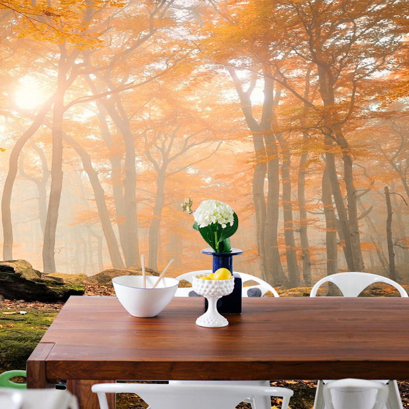 Modern Style Fall Scenery Mural Orange Morning Sunshine Shines Through Forest Wall Art Orange Clearhalo 'Wall Decor' 'Wall Mural' 1501694