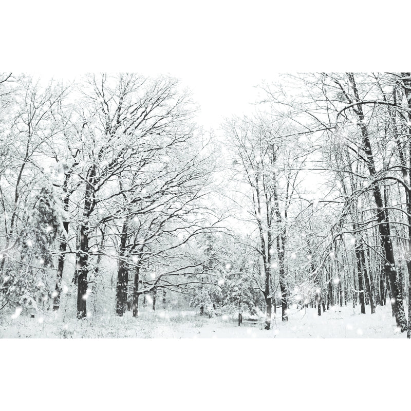 Custom Photo-Print Modern Mural with Bare Trees and Snow Landscape Pattern in White Clearhalo 'Wall Decor' 'Wall Mural' 1502062