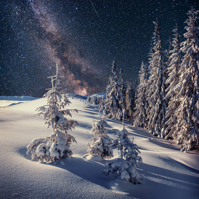 Nordic Milky Way Wallpaper Mural Grey Snowy Cypress Landscape Wall Decor for Home Clearhalo 'Wall Decor' 'Wall Mural' 1502157