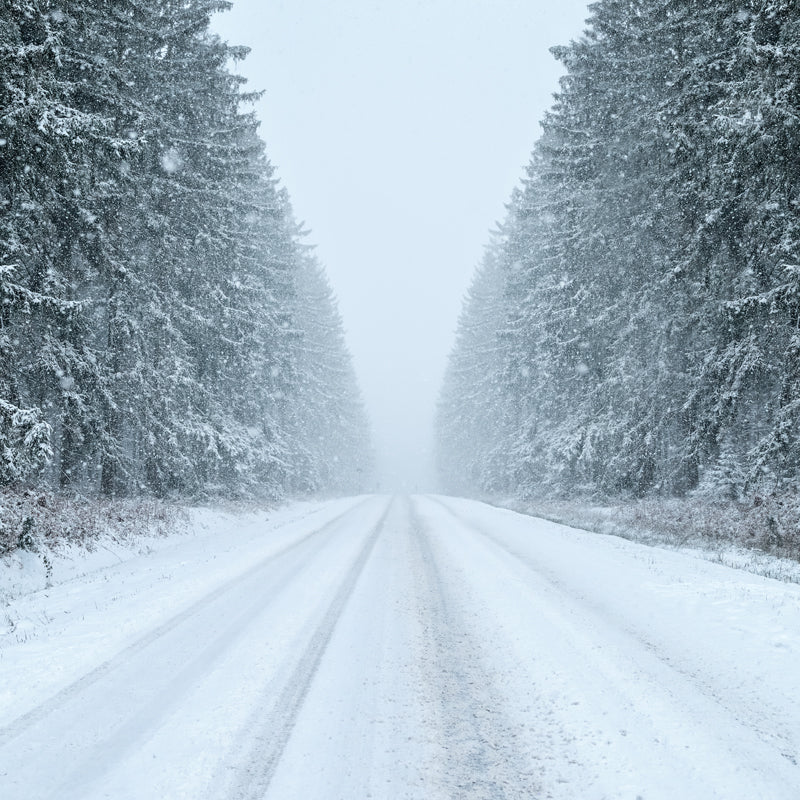 Snowy Road to Unknown Mural Contemporary Smooth Wall Art in White for Living Room Clearhalo 'Wall Decor' 'Wall Mural' 1502237