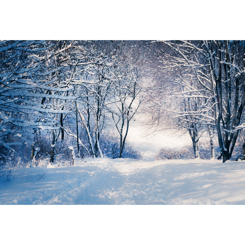 Grey Snowy Bare Trees Mural Wallpaper Water-Proof Modernist Bedroom Wall Covering Clearhalo 'Wall Decor' 'Wall Mural' 1502282