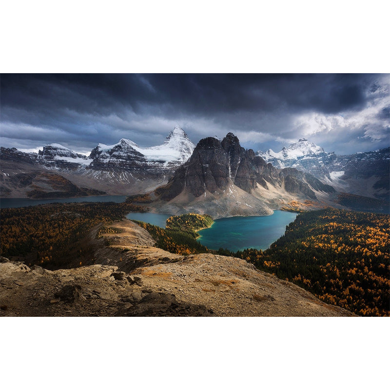 Grey Scenery Wall Paper Mural River Mountain with Flower Field Modern Washable Wall Art Clearhalo 'Wall Decor' 'Wall Mural' 1505136