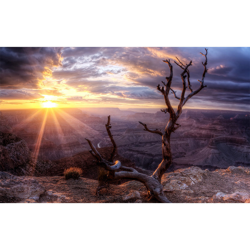Brown Withered Branch Mural Sunset Mountain Landscape Modern Waterproof Wall Covering Clearhalo 'Wall Decor' 'Wall Mural' 1505256