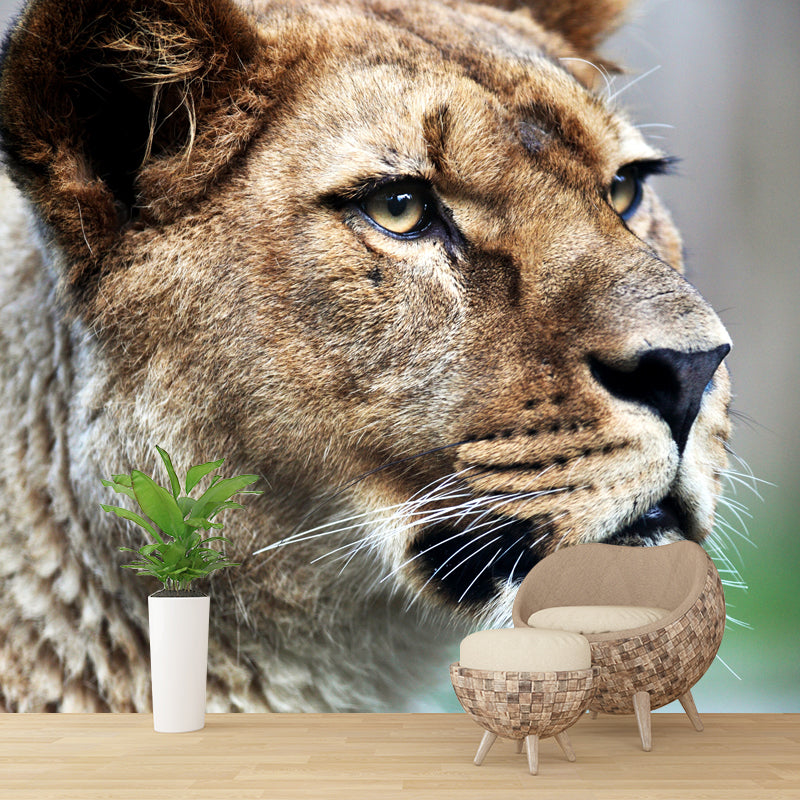 Photography Lion Side Face Mural Whole Wall Covering for Bedroom, Personalized Size Brown Clearhalo 'Wall Decor' 'Wall Mural' 1508315