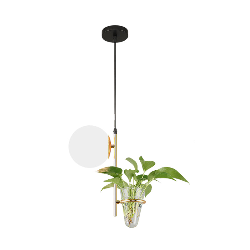 Black/Gold 1 Light Ceiling Pendant Retro Metal Ball LED Drop Lamp with Milk White/Smoke Grey Glass Shade Clearhalo 'Art Deco Pendants' 'Black' 'Cast Iron' 'Ceiling Lights' 'Ceramic' 'Crystal' 'Industrial Pendants' 'Industrial' 'Metal' 'Middle Century Pendants' 'Pendant Lights' 'Pendants' 'Rustic Pendants' 'Tiffany' Lighting' 1604051