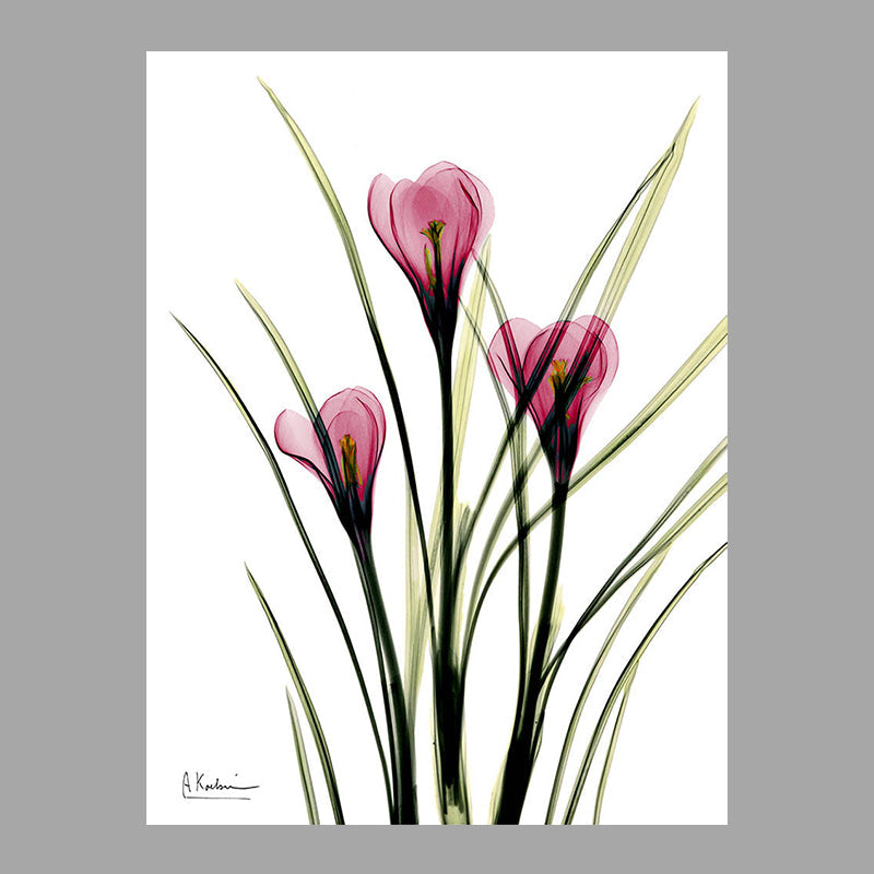 Flowers Painting Canvas Wall Art Farmhouse Textured Wall Decor for Girls Bedroom Clearhalo 'Art Gallery' 'Canvas Art' 'Country Art Gallery' 'French Country' 'Rustic' Arts' 1625915
