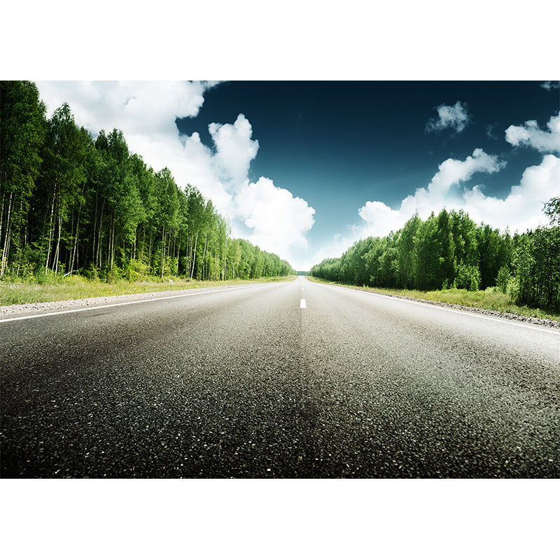 Highway Scene Mural Wallpaper Modern Non-Woven Cloth Wall Covering in Soft Color Clearhalo 'Wall Decor' 'Wall Mural' 1626976