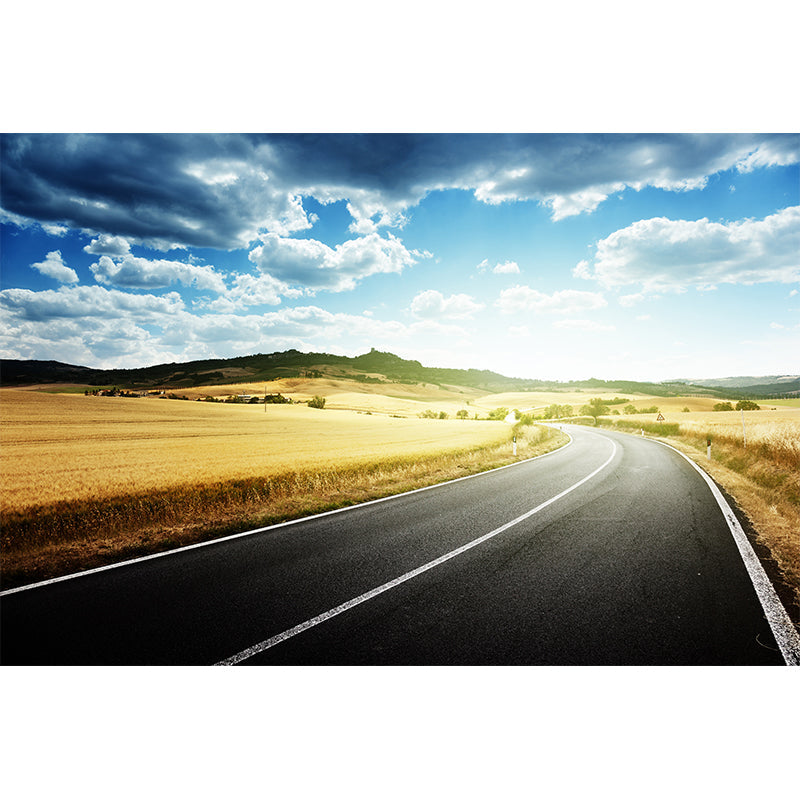 Quiet Roadway Scenery Mural Decal for Dining Room Summer Wall Covering, Customised Clearhalo 'Wall Decor' 'Wall Mural' 1627016