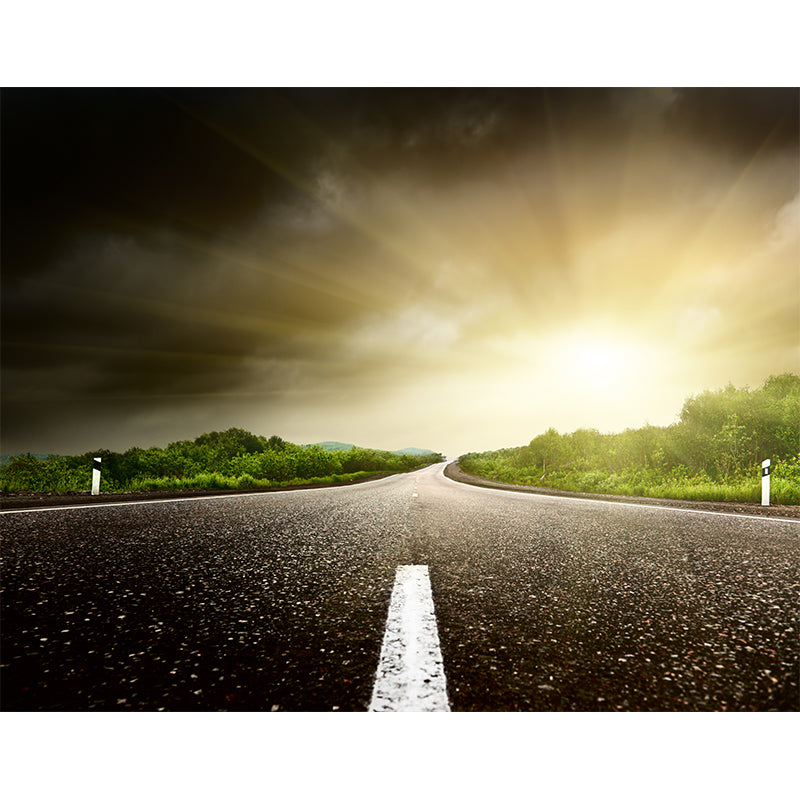 Photography Highway Wall Mural for Living Room, Light Color, Custom Size Available Clearhalo 'Wall Decor' 'Wall Mural' 1627091