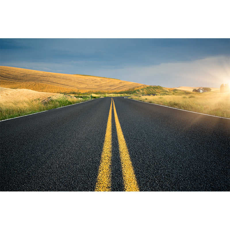 Contemporary Road Mural Decal Light Color Waterproofing Wall Covering for Living Room Clearhalo 'Wall Decor' 'Wall Mural' 1627211