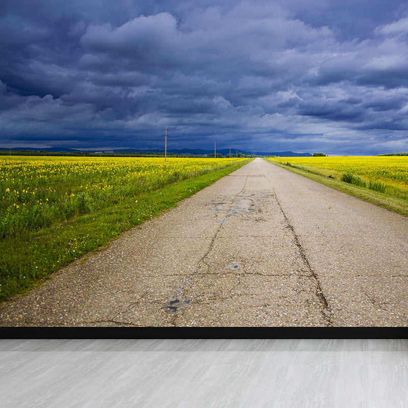 Full Size Photography Modern Mural Wallpaper with Highway and Grassland in Light Color Dark Blue Clearhalo 'Wall Decor' 'Wall Mural' 1627683