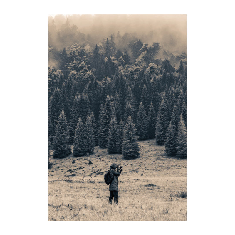 Meadow and Misty Forest Art Print Black Vintage Canvas for Dining Room, Textured - Clearhalo - 'Arts' - 'Canvas Art' - 1638530