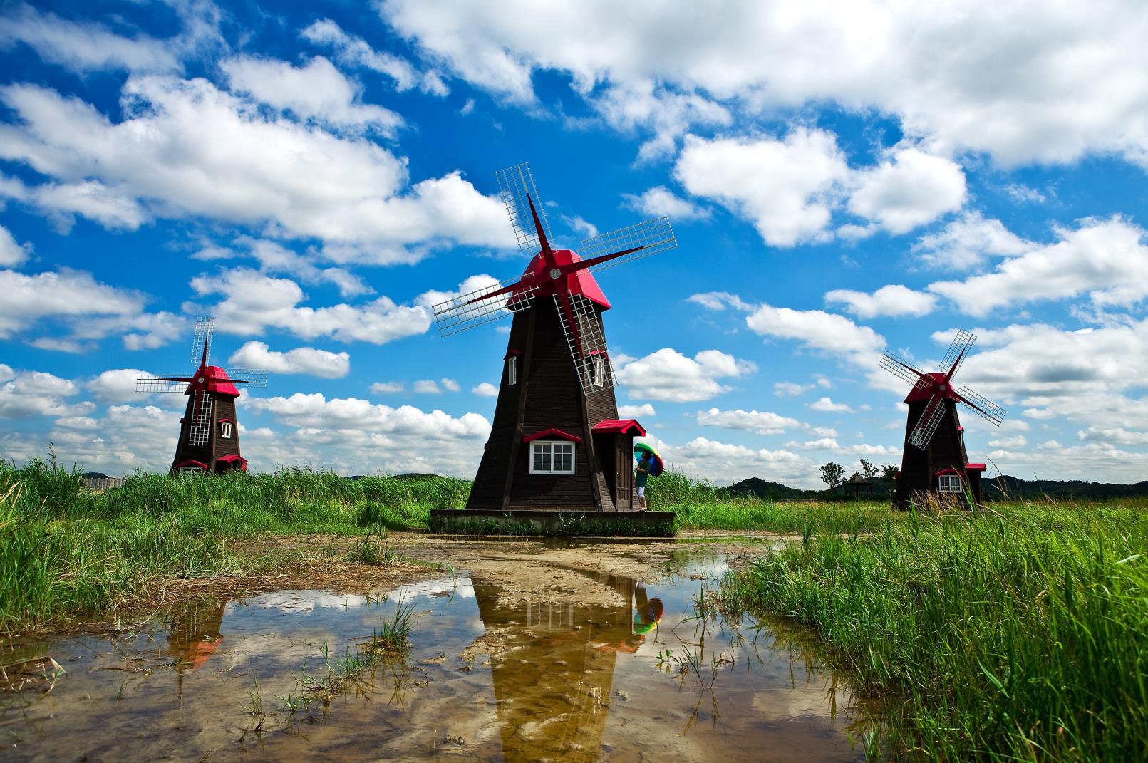 Huge Windmill Mural for Bathroom Nature Landscape Wall Art in Blue, Stain Resistant Blue Design 3 Clearhalo 'Wall Decor' 'Wall Mural' 1646834