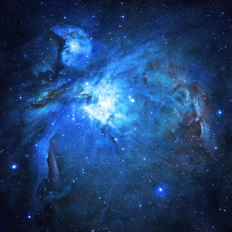 Giant Modern Mural Decal in Blue Night Sky Constellations Wall Covering, Customised Clearhalo 'Wall Decor' 'Wall Mural' 1647142