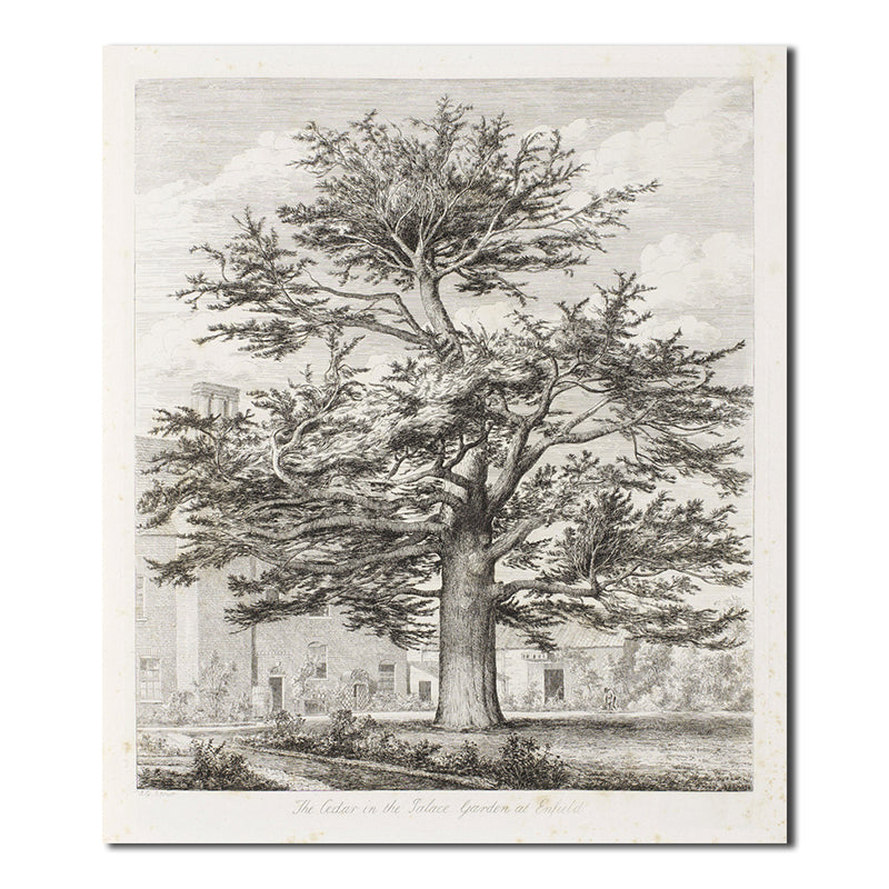 Pencil Towering Trees Painting Minimalism Style Canvas Textured Wall Print in Gray Clearhalo 'Art Gallery' 'Canvas Art' 'Contemporary Art Gallery' 'Contemporary Art' 'Minimalism' 'Minimalist Art Gallery' 'Scandinavian' Arts' 1709162
