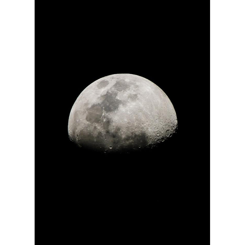 Full Moon Mural Decal Modern Decorative Living Room Wall Covering, Custom Printed Clearhalo 'Wall Decor' 'Wall Mural' 1729393
