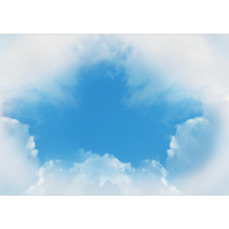 Stain-Proof Magical Sky Scenery Mural Decal Modern Non-Woven Material Wall Decor, Custom Clearhalo 'Wall Decor' 'Wall Mural' 1758729