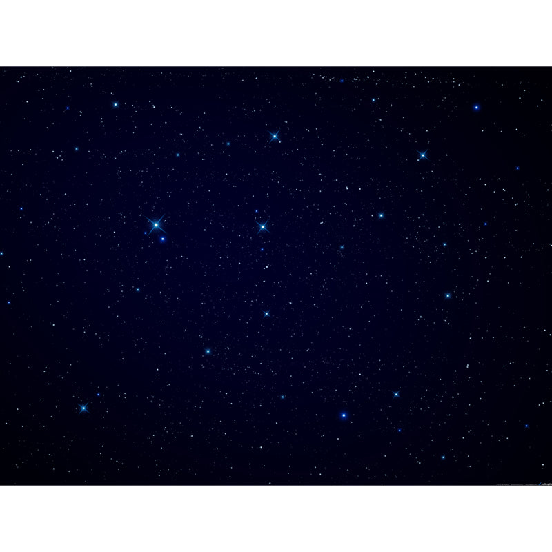 Whole Glittering Star Wall Mural Modern Resplendent Night Sky Wall Covering in Black Clearhalo 'Wall Decor' 'Wall Mural' 1784031