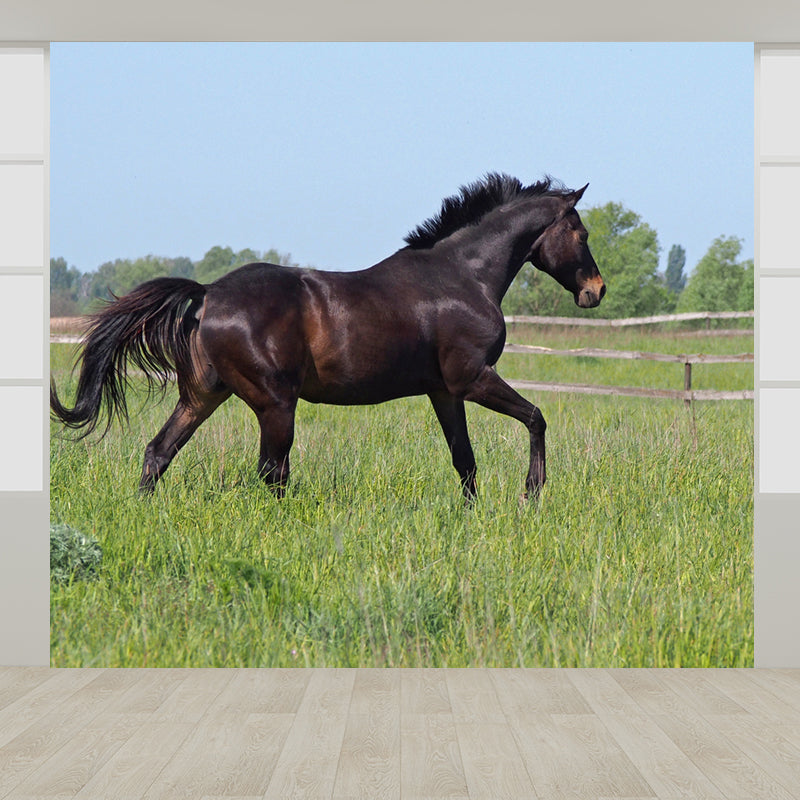 Pastel Color Running Horse Mural Wallpaper Animals Contemporary Stain-Proof Wall Art Green Clearhalo 'Wall Decor' 'Wall Mural' 1785172