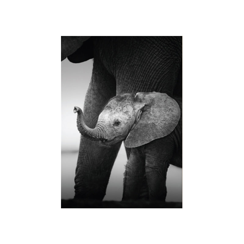 Photographs Modern Style Canvas Art with Wild Animal Pattern in Dark Color for Home Clearhalo 'Art Gallery' 'Canvas Art' 'Contemporary Art Gallery' 'Modern' Arts' 1861780