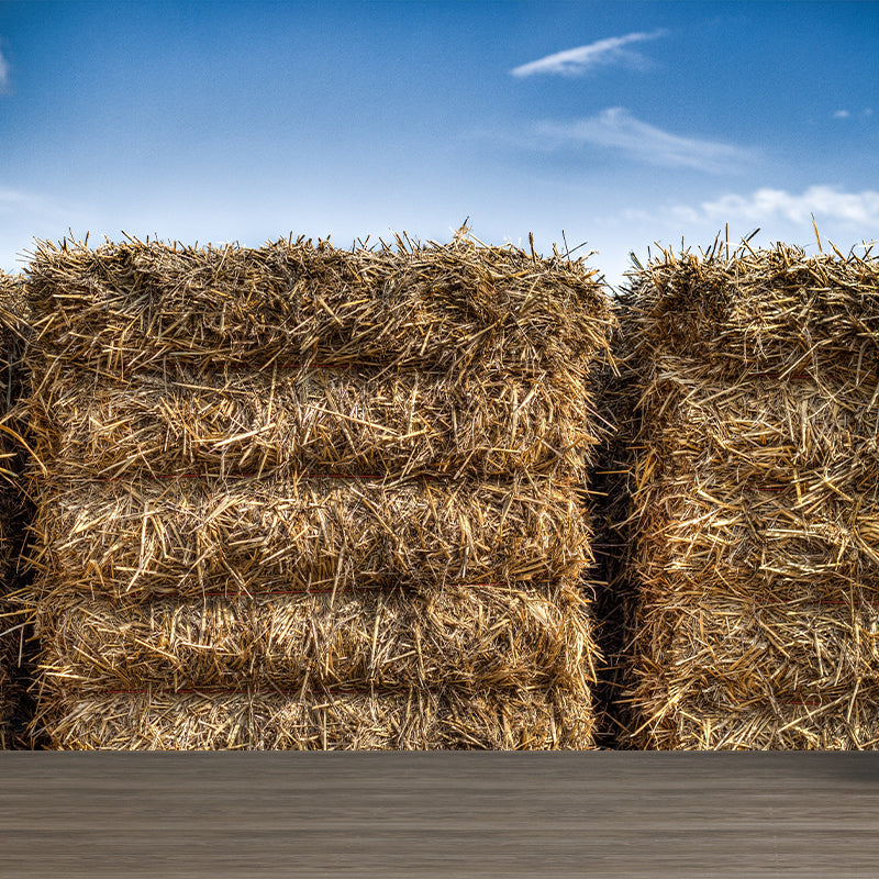 Modern Scenery Stacked Hay Mural Dark Color Stained Resistant Wall Art for Bedroom Clearhalo 'Wall Decor' 'Wall Mural' 1895634