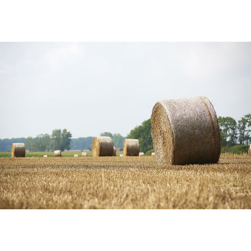 Modern Scenery Stacked Hay Mural Dark Color Stained Resistant Wall Art for Bedroom Clearhalo 'Wall Decor' 'Wall Mural' 1895641