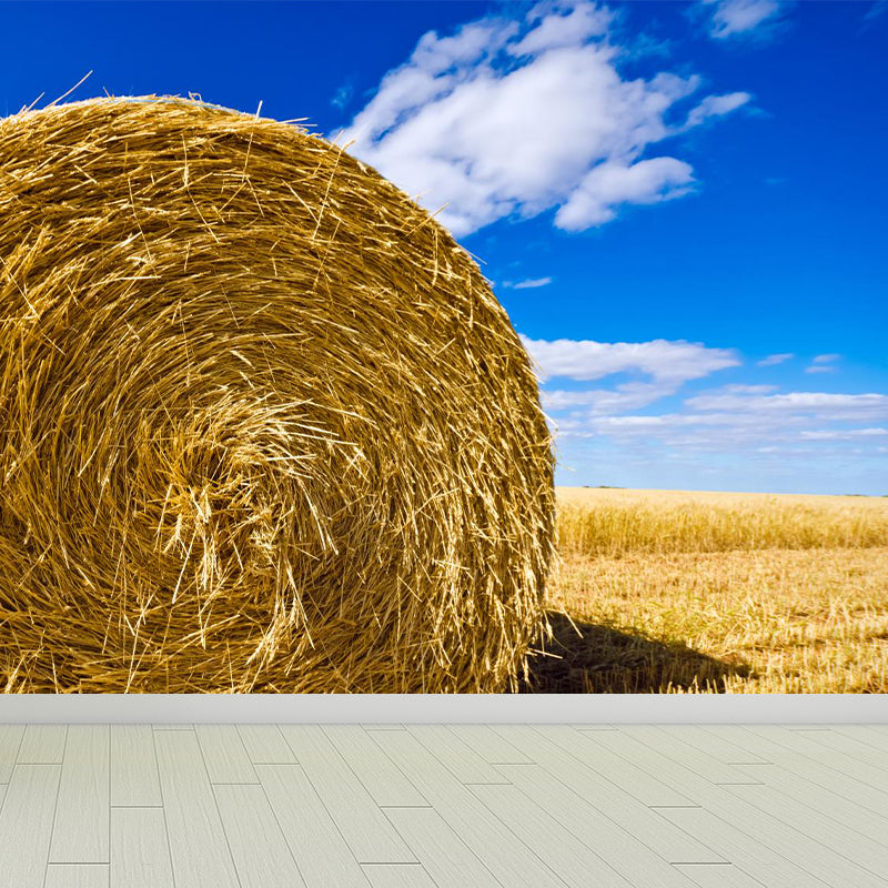 Moisture Resistant Hay Roll Mural Personalized Modern Wall Covering for House Interior Clearhalo 'Wall Decor' 'Wall Mural' 1895684